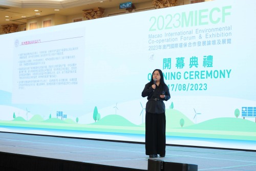 Professor Lan Hong, Deputy Director of the Eco-finance Research Centre of the Renmin University of China, Deputy Director of the Green Finance Branch of the Chinese Society for Environmental Sciences, and Deputy Director of the Green Finance Professional Committee of the China Association of Environ