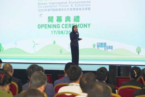 Professor Lan Hong, Deputy Director of the Eco-finance Research Centre of the Renmin University of China, Deputy Director of the Green Finance Branch of the Chinese Society for Environmental Sciences, and Deputy Director of the Green Finance Professional Committee of the China Association of Environ