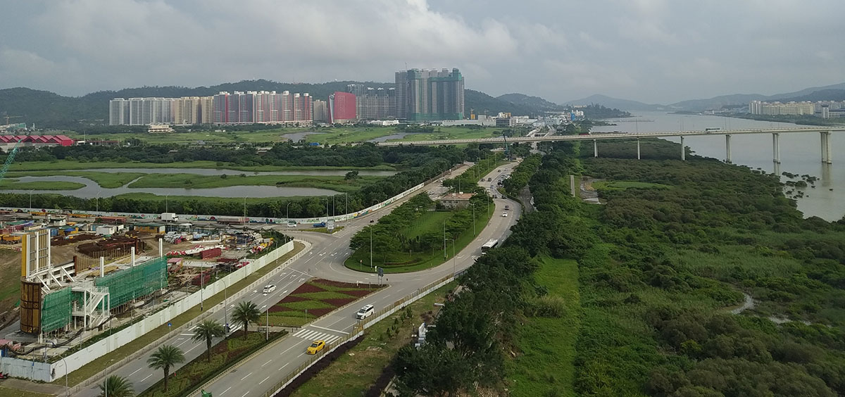 1772450277227053.jpg 1-1.jpg