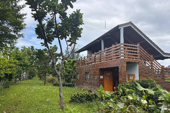 1772450440807600.jpg 1-2.jpg